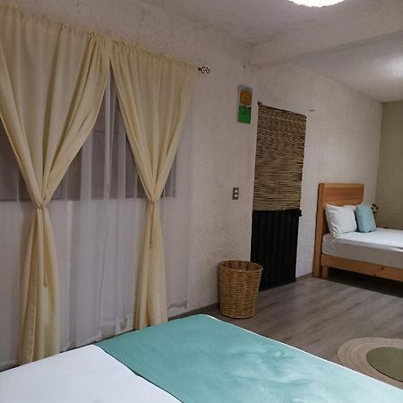 Alojamiento El Nixtamal Oaxaca Luaran gambar